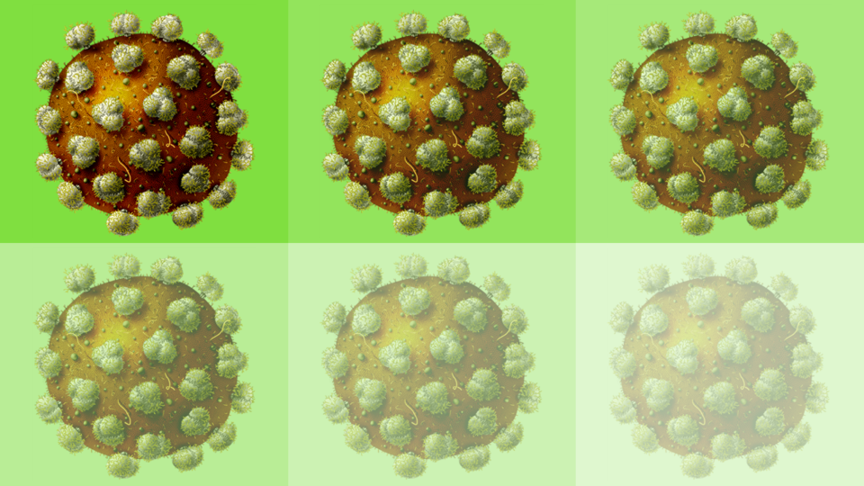 New approach improves potential HIV vaccine