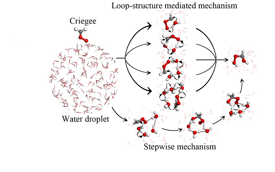 New Mechanistic Pathways for Criegee–Water Chemistry at the Air/Water Interface