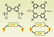 dinitroxides with one and two EPCs