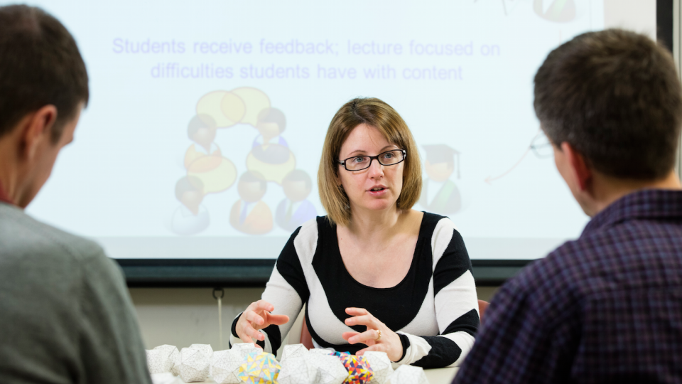 NSF award aids Stains' research on STEM teaching