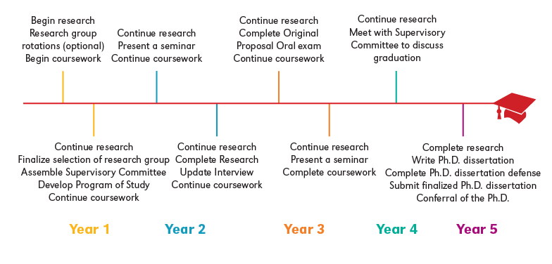 PhD Timeline