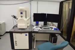 Zeiss EVO MA10 SEM with EDX